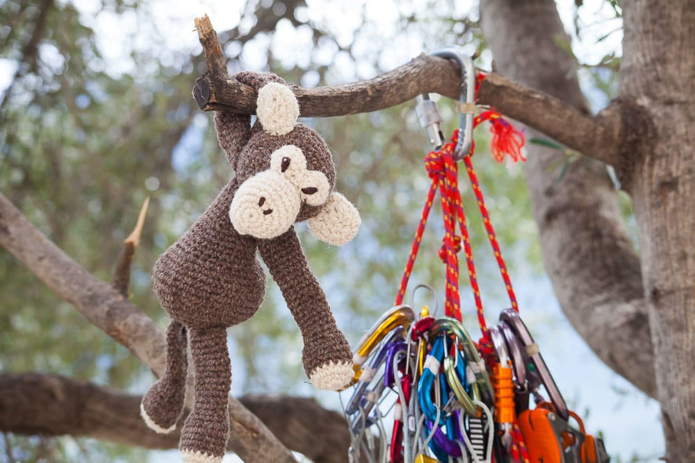 Ein Kletteraffe der am Baum mit Karabinern hängt